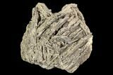 Pyrite & Chalcopyrite Encrusted Bladed Barite - Morocco #107926-1